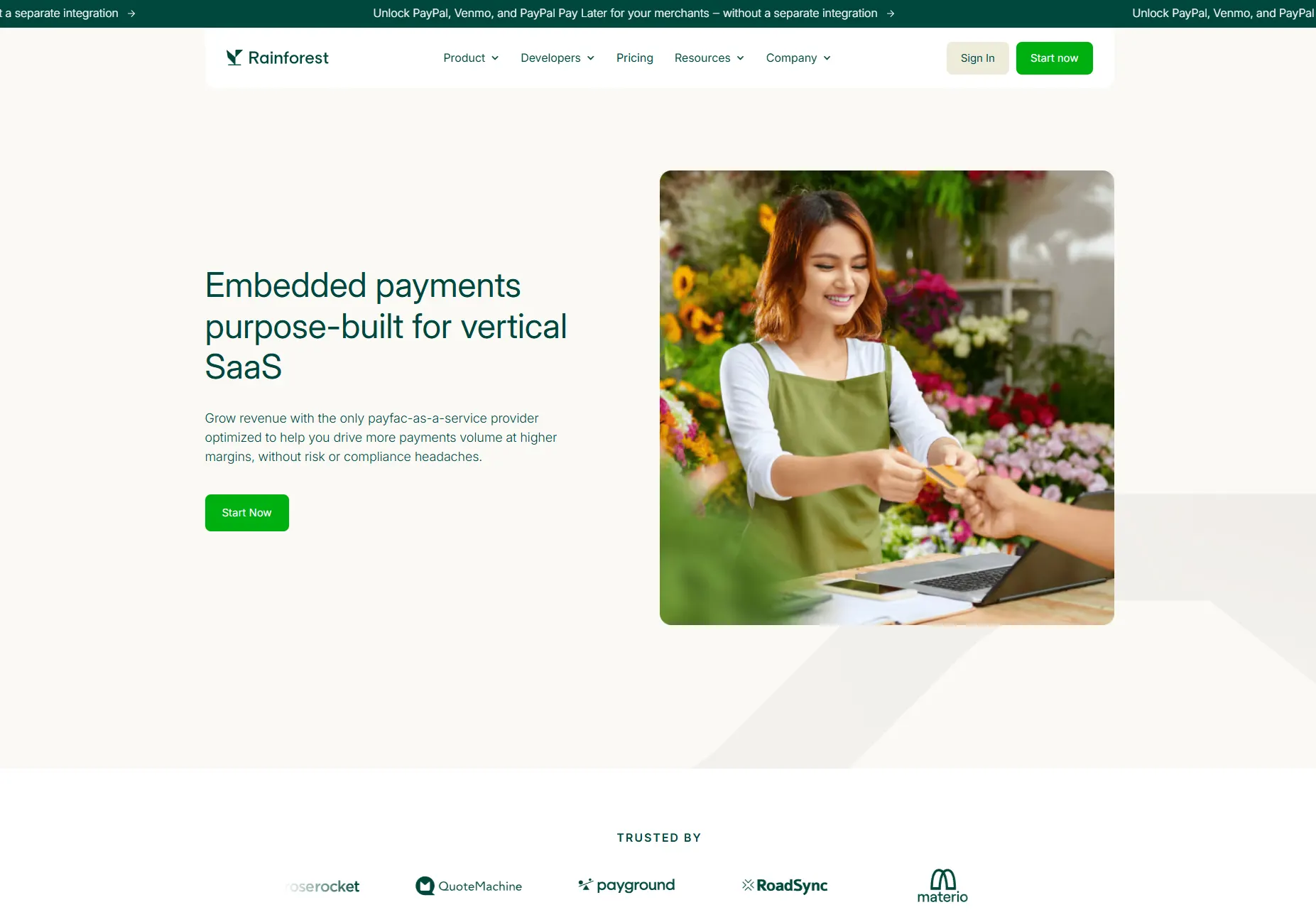 Rainforest website design
